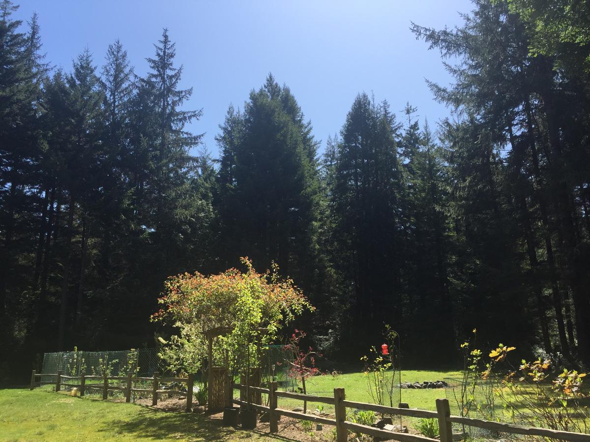 Redwood Forest Crescent City Exterior photo